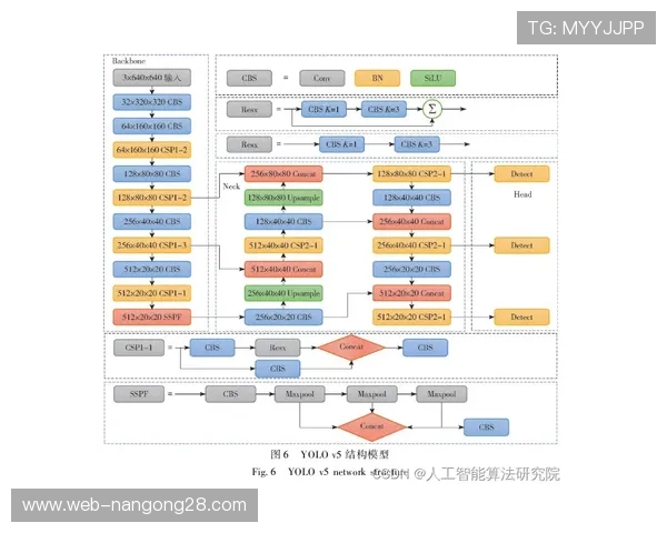 迁移学习训练模型：YOLO对象检测改进篮球识别准确率